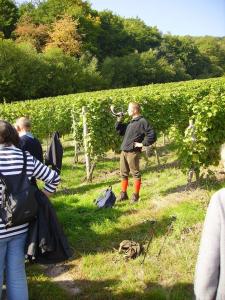 Weinwanderung an der Nahe