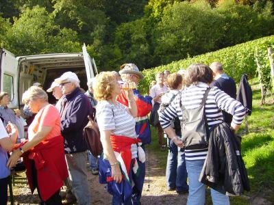 Weinwanderung an der Nahe